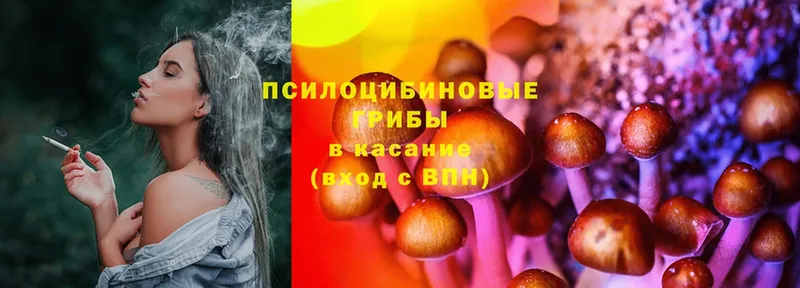 Галлюциногенные грибы GOLDEN TEACHER  Лермонтов 